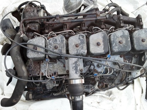 Cummins diesel motor - 5.,9,